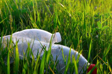 Çayırdaki bir çayırdaki plastik şişeler debeleniyor. Çok saçma. Ekoloji. Saf doğa. Plastiği durdur. Geri dönüşüm. Sıfır atık.