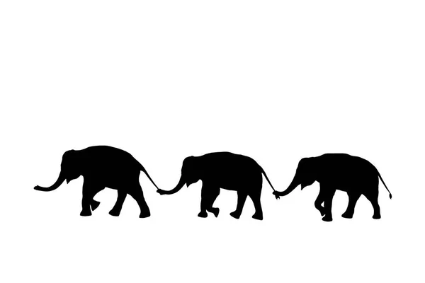 Silueta elefantes relación con tronco mantenga familia cola caminando juntos — Foto de Stock