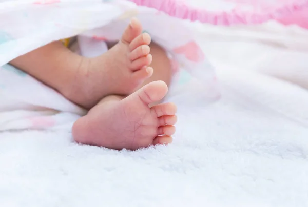 Close up little feet of  baby newborn covered in white towel