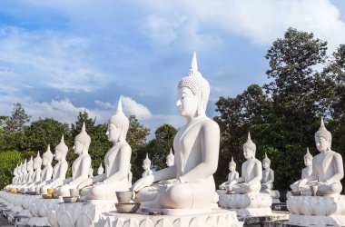 birçok satır Tay tapınakta oturuyor ve Buda heykeli beyaz 