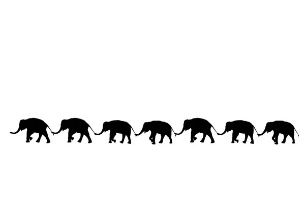 Silhouette elefanti rapporto con tronco tenere coda famiglia camminare insieme — Foto Stock