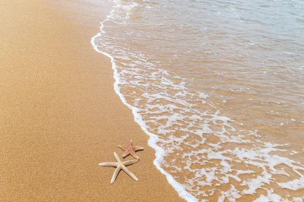 Estrelas-do-mar na praia tropical — Fotografia de Stock