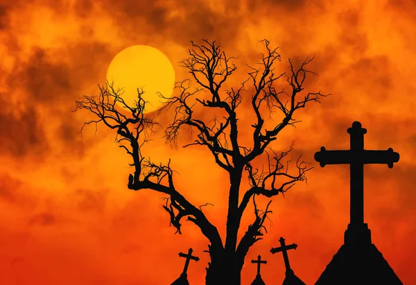 Silueta aterradora árbol muerto y silueta espeluznante cruces en cementerio místico con luna llena . —  Fotos de Stock