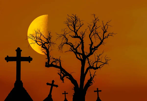 silhouette dead tree and spooky silhouette crosses in mystic graveyard with half moon.