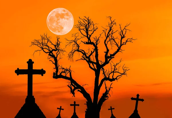 Silueta aterradora árbol muerto y silueta espeluznante cruces en cementerio místico con luna llena . —  Fotos de Stock