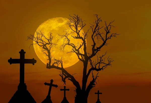 可怕的剪影死树和幽灵般的身影穿过在神秘墓地与大满月. — 图库照片