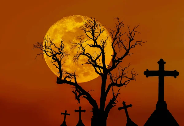 scary silhouette dead tree and spooky silhouette crosses in mystic graveyard  with big full moon