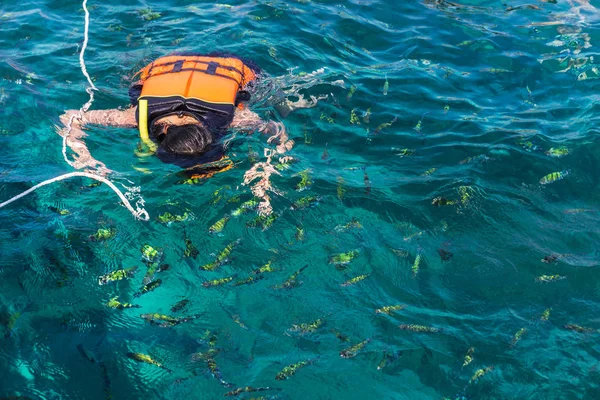 Turistik zevk can yelekleri andaman Denizi ile dalış 