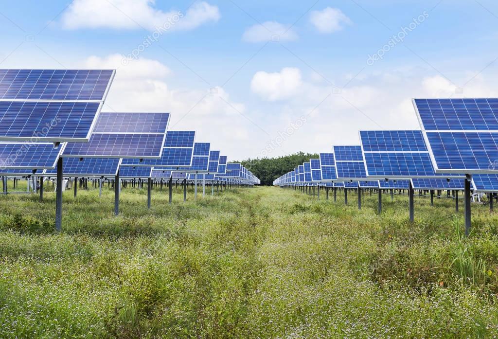 solar panels alternative energy from the sun 
