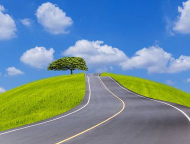 Boş ülke asfalt yol ile büyük ağaç yeşil sahada