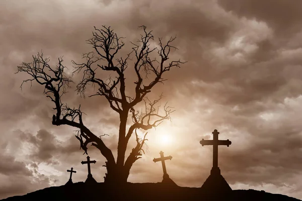 Silueta árbol muerto y silueta espeluznante cruces en cementerio místico — Foto de Stock