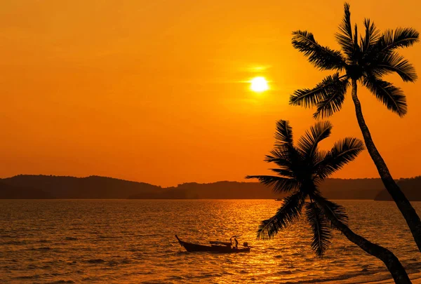 Palmeras de coco silhoutte con barco pescador en el mar tropical en la puesta del sol — Foto de Stock