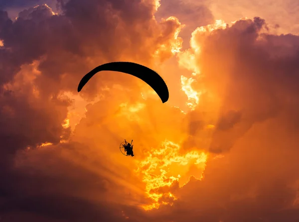 Silhouette paramotor  flying  on sunset — Stock Photo, Image