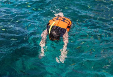 Turistik zevk can yelekleri andaman Denizi ile dalış 
