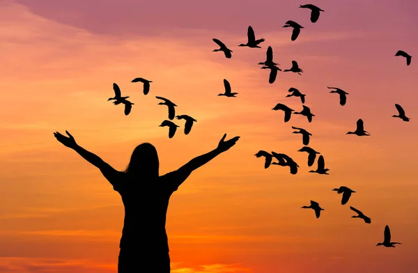 silhouette woman raised up hands celebrate during  flock of lesser whistling duck flying on sunset