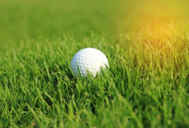 kaba çim beyaz golf topu