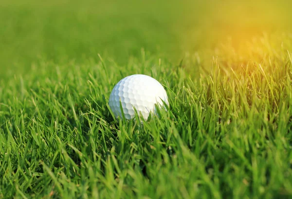 Pallina da golf bianca in erba ruvida — Foto Stock