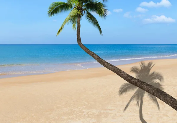 在热带海滩上椰子棕榈树 — 图库照片