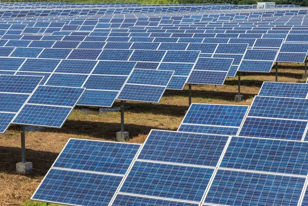 Ряд полікристалічних кремнієвих сонячних батарей на сонячній електростанції, які поглинають сонячне світло від сонця, використовують світлову енергію для отримання електроенергії альтернативні відновлювані джерела енергії від сонця — стокове фото