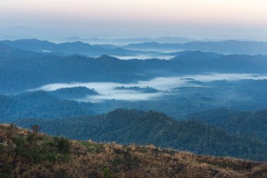    Beyaz sis ile katman tropikal dağlarının yüksek açılı görünüş Sunrise erken sabah Tayland at.