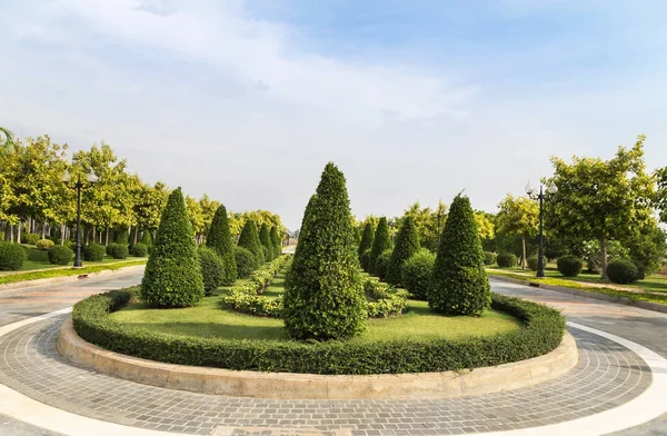 Zobacz Przycinanie Krzewów Ozdobnych Publicznych Zielony Park Trawa Pole Pod — Zdjęcie stockowe