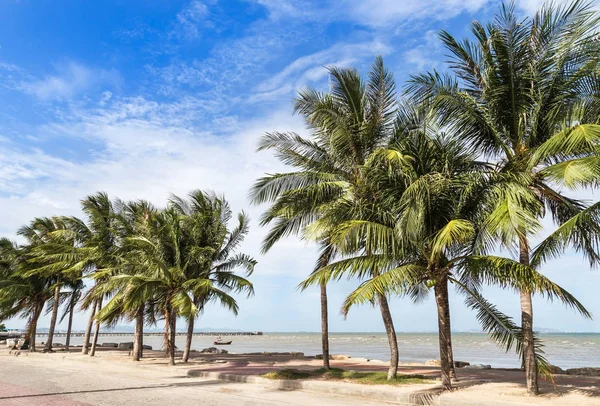 行的椰子棕榈树在沙滩上蓝蓝的天空背景 — 图库照片