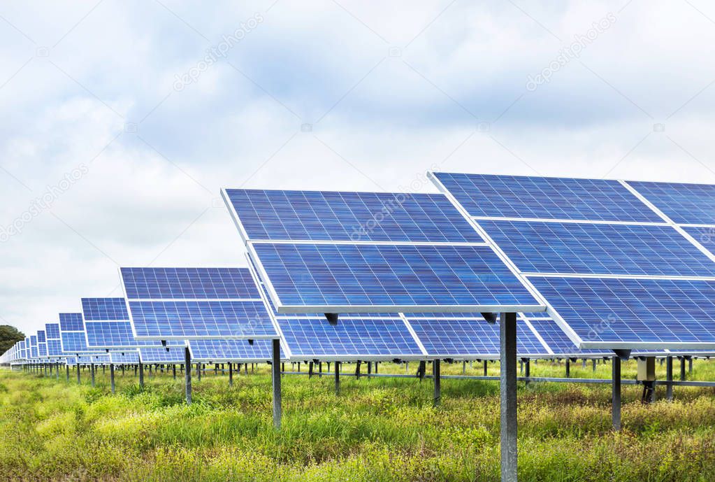 Close up rows array of polycrystalline silicon solar cells in solar power plant turn up skyward absorb the sunlight from the sun use light energy to generate electricity