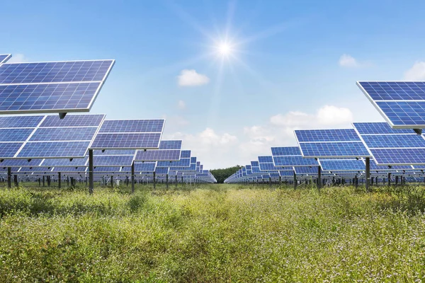 Acercar Filas Células Solares Silicio Policristalino Fotovoltaicos Planta Energía Solar — Foto de Stock