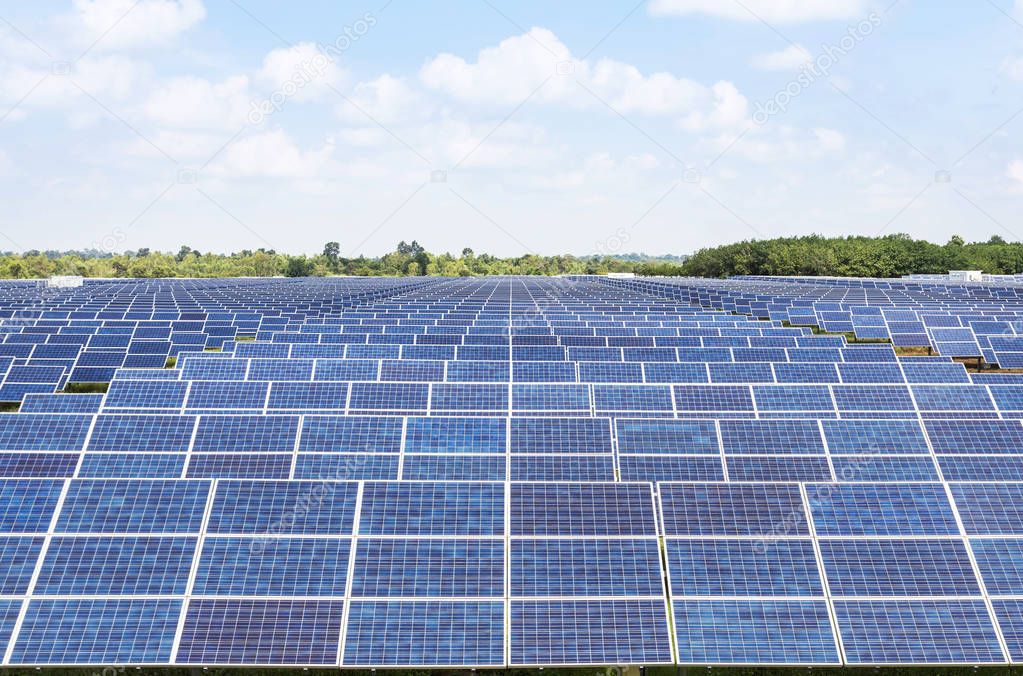  Close up rows array of polycrystalline silicon solar cells or photovoltaics in solar power plant turn up skyward absorb the sunlight from the sun alternative renewable energy on blue sky 
