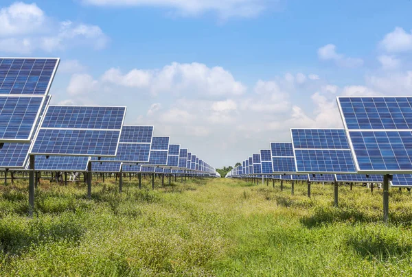 Filas Células Solares Silicio Policristalino Células Fotovoltaicas Estación Energía Solar Fotos de stock libres de derechos