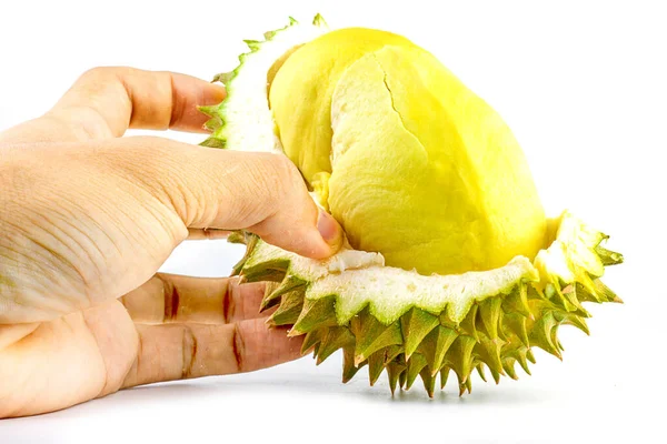 Durian Rey Las Frutas Famosas Frutas Tailandia Carne Fruta Durian — Foto de Stock