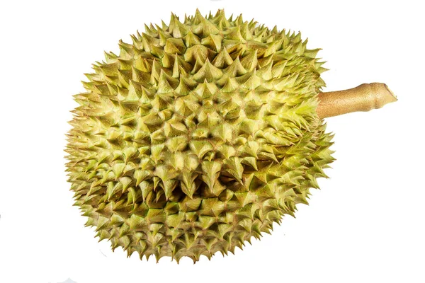 Durian Adalah Raja Buah Buahan Terkenal Thailand Daging Buah Durian — Stok Foto