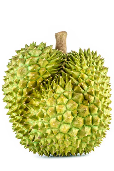 Durian Είναι Βασιλιάς Των Φρούτων Διάσημα Φρούτα Στην Ταϊλάνδη Durian — Φωτογραφία Αρχείου