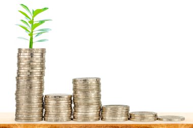 Yatırım konsepti, beyaz arka planda yeşil yapraklı sikkeler büyür.