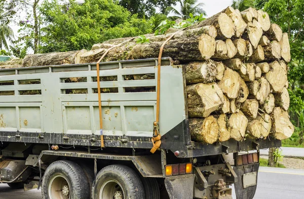 Large truck transporting wood. Wagons laden with wood of logs to the log yard at a lumber processing mill that specializes