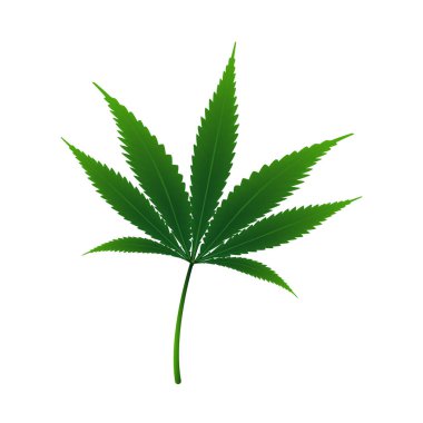 Esrarı arka planda ayır. Vektör illüstrasyon tasarımı.