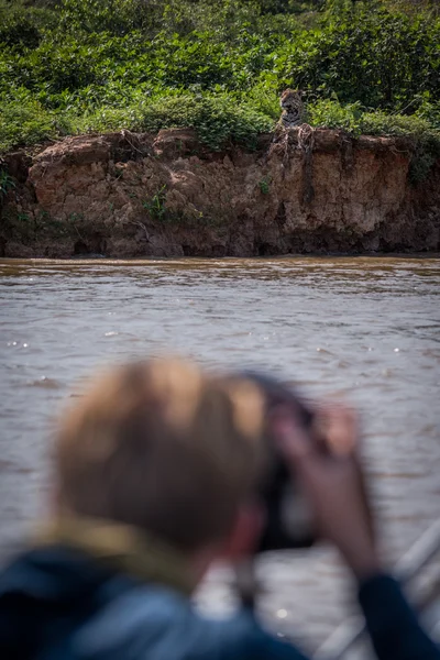 Jaguar jest nakręcony przez fotografa na łodzi — Zdjęcie stockowe