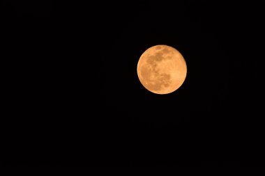 Harvest moon looks orange in night sky clipart
