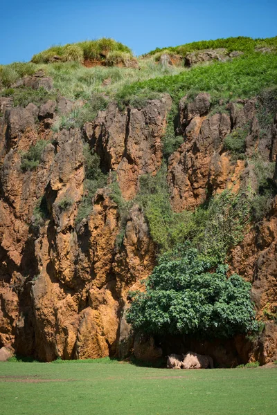 Vit noshörning ligger vid foten av klippan — Stockfoto