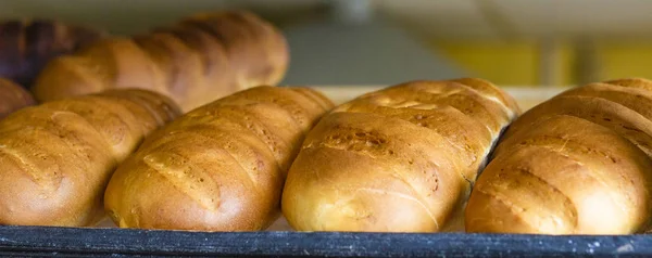 Bageriprodukter Pajer Bullar Bröd Bakverk — Stockfoto