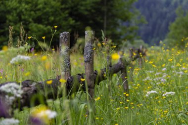 rustik ahşap çit Köyü ve mavi gökyüzü bulutlu içinde