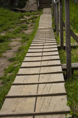 mangrov ağaçlandırma ahşap köprü