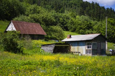 ahşap forester dağlarda yazlık