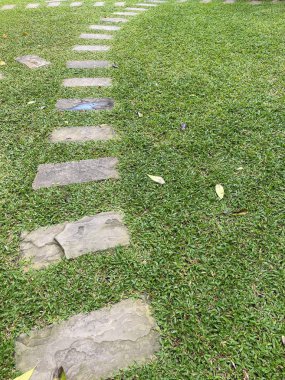 Çimenli taş yol. Taşların arasında büyüyen çimenli bahçe taşı patikası.