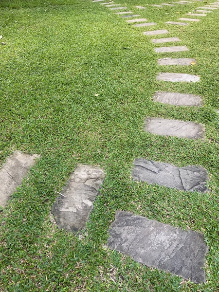 Camino Piedra Con Hierba Camino Piedra Jardín Con Hierba Creciendo — Foto de Stock