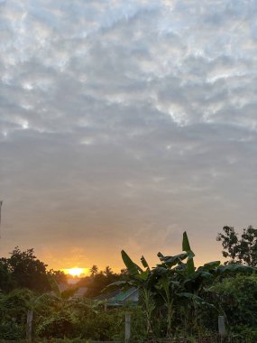 Tropik yağmur ormanları üzerinde gün batımı. Tropik yağmur ormanlarındaki ağaçların üzerinde gün batımını seyredin.
