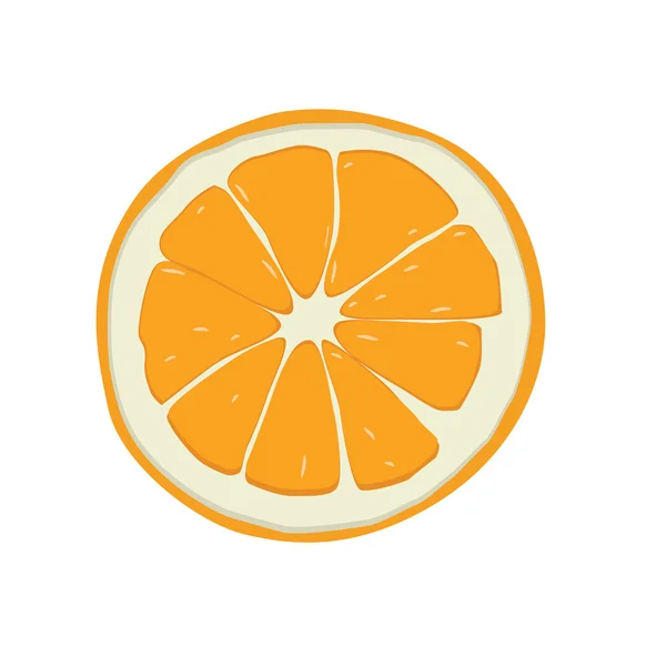 新鮮なオレンジのスライス — ストックベクタ