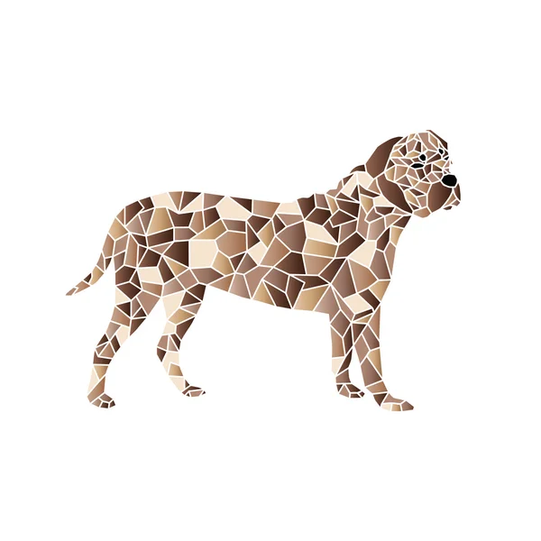 Logo du chien coloré — Image vectorielle