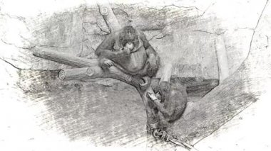 Bir vahşi Endangered dişi Orangutan 