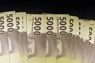 Yeni rupiah para 